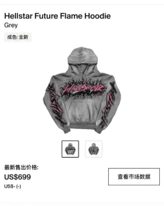 Hellstar Future Flame Hoodie Grey