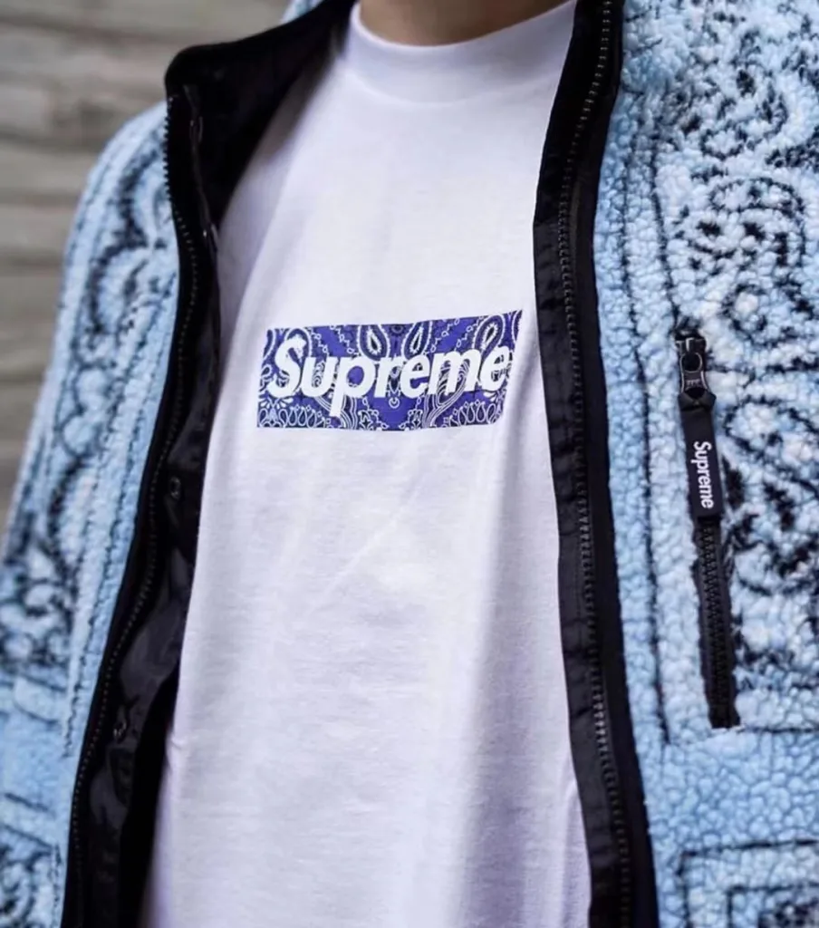 Supreme 19FW Bandana Box Logo Tee Bogo S M L XL