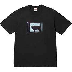 Supreme 25SS Damien Hirst S M L XL5