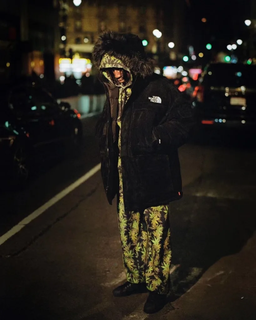 SUPREME TNF FW23 THE LEAF HOODED S M L XL