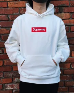 S018#15520055 Supreme box logo 21FW
