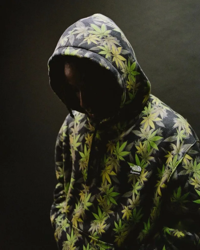 SUPREME TNF FW23 THE LEAF HOODED S M L XL