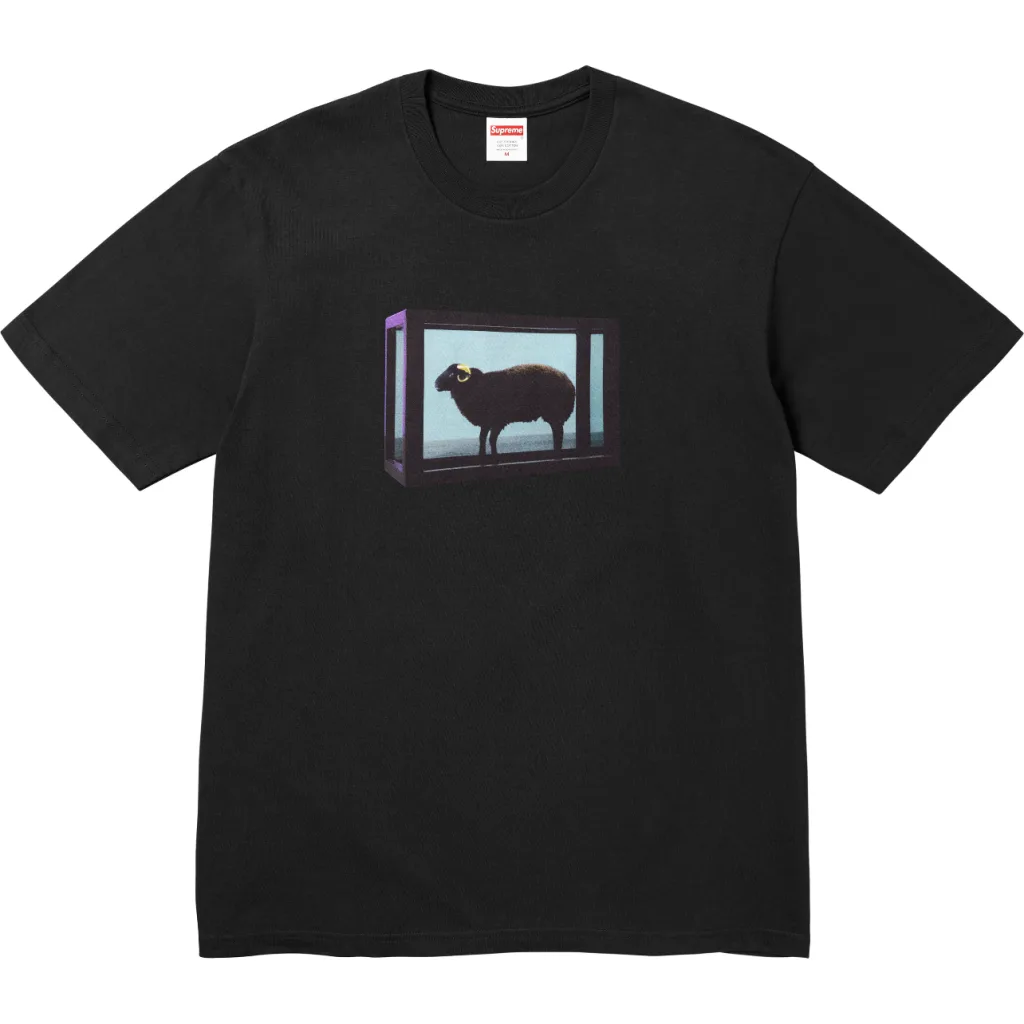 Supreme 25SS Damien Hirst S M L XL5