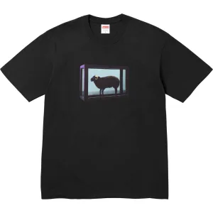 Supreme 25SS Damien Hirst S M L XL5