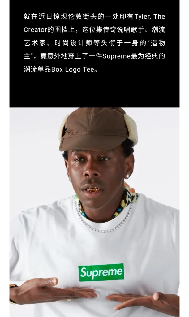 Supreme FW24 Tyler The Creator Tee S M L XL