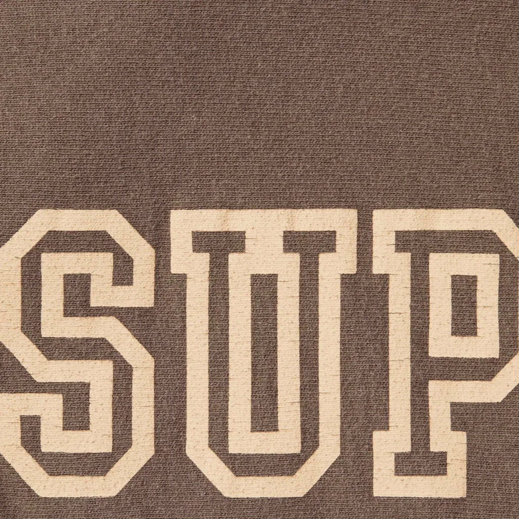 Supreme 24FW Collegiate Sleeve Hooded S M L XL