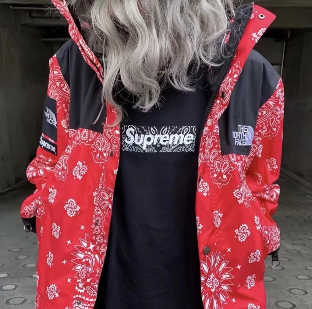 Supreme 19FW Bandana Box Logo Tee Bogo S M L XL
