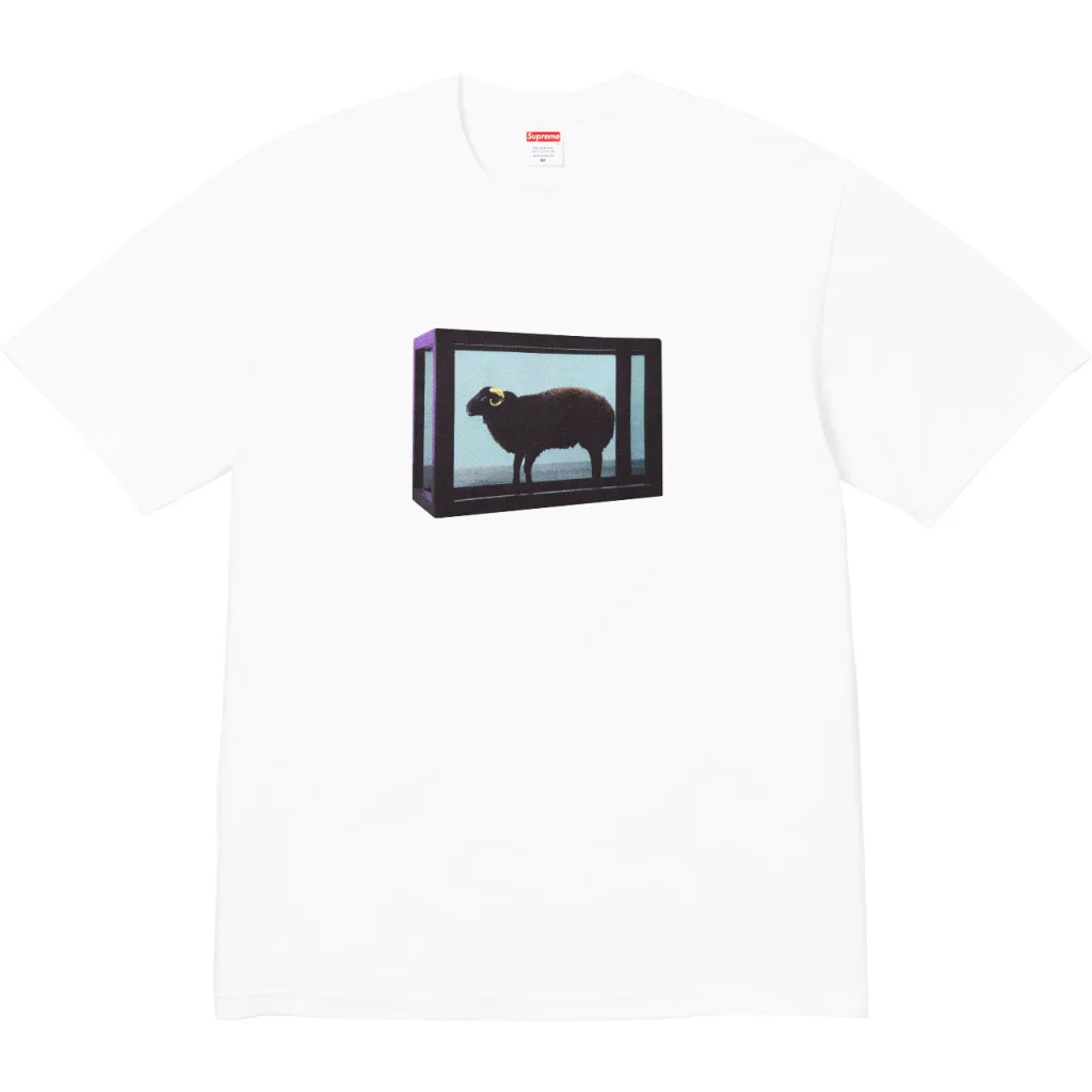 Supreme 25SS Damien Hirst S M L XL5